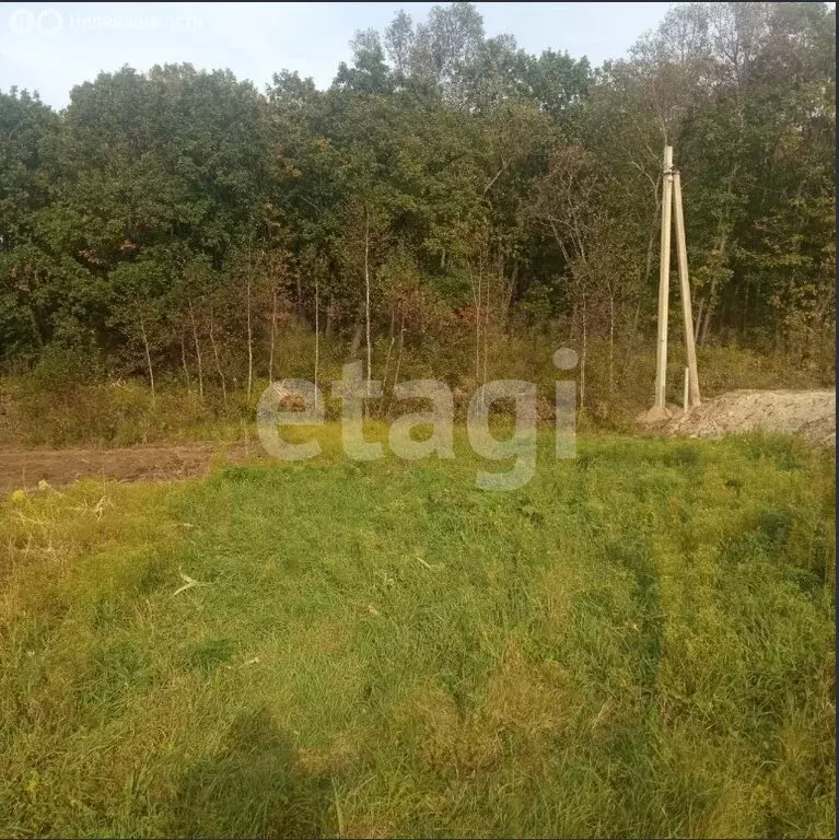 Участок в Амурская область, Благовещенский муниципальный округ, ... - Фото 2