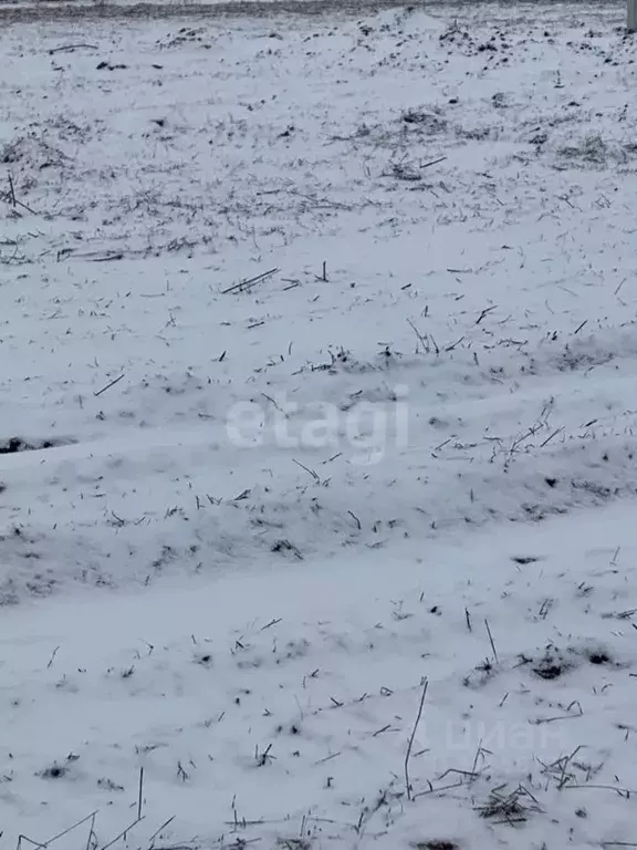 Участок в Белгородская область, Белгородский район, Головинское с/пос, ... - Фото 0