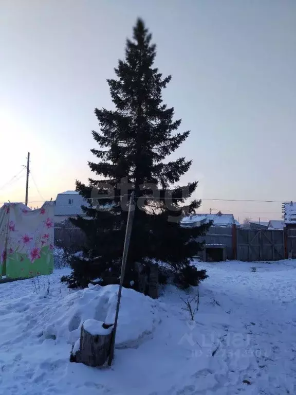 Дом в Бурятия, Улан-Удэ Баянгольская ул., 26 (95 м) - Фото 1