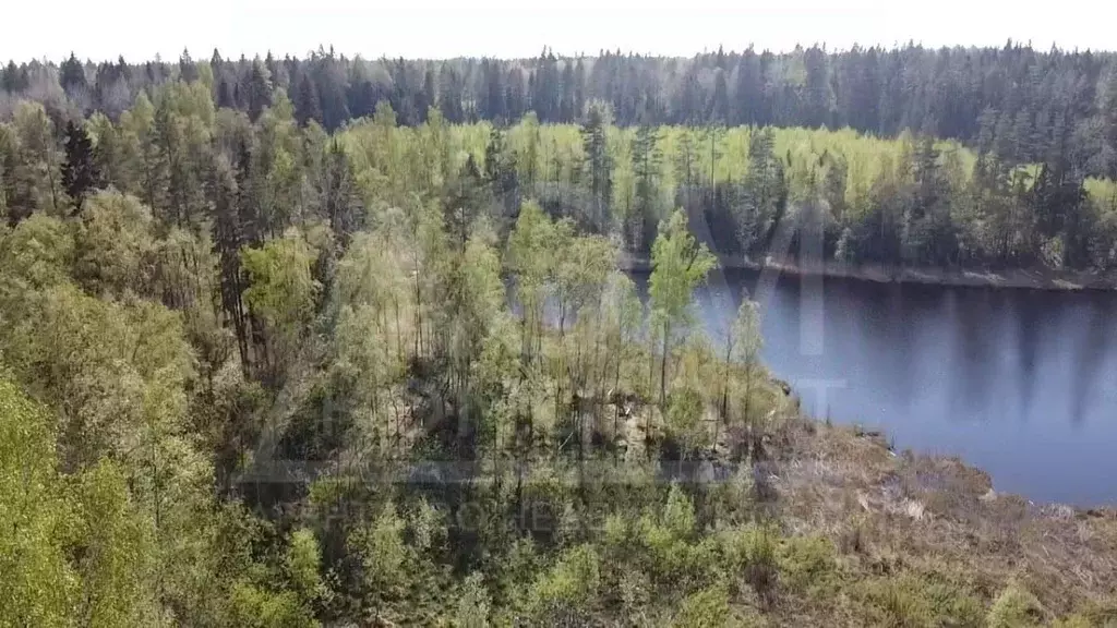 Участок в Ленинградская область, Приозерское городское поселение, пос. ... - Фото 0