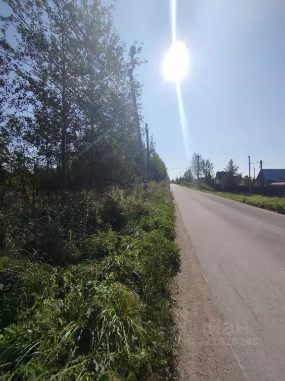 Участок в Новгородская область, Новгородский район, Трубичинское ... - Фото 1