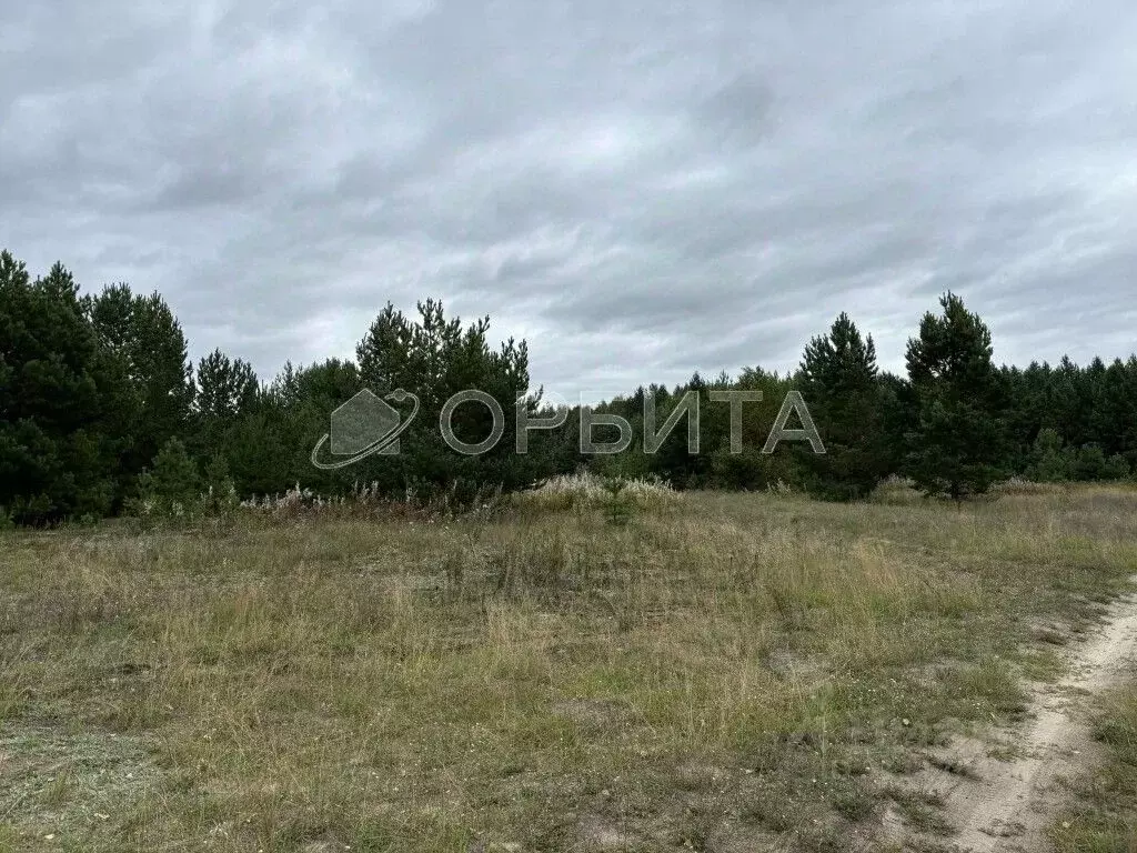 Участок в Тюменская область, Вагайский район, д. Елань Еланская ул., 5 ... - Фото 0