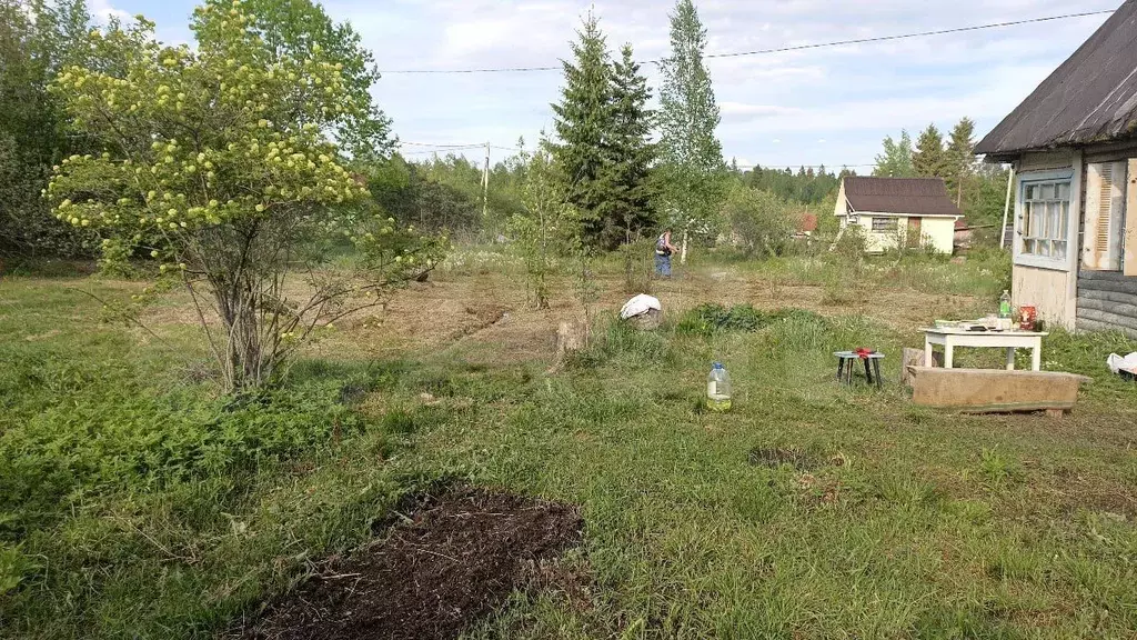 Участок 12,8 сот. (СНТ, ДНП) - Фото 1