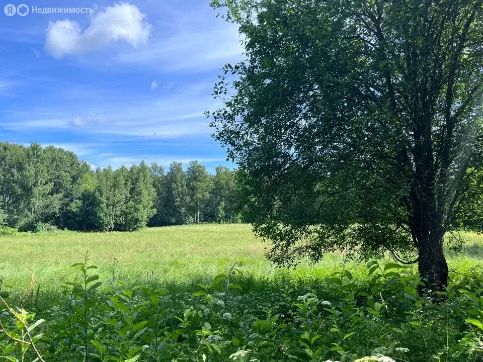 Участок в Приозерский район, Мельниковское сельское поселение, посёлок ... - Фото 2