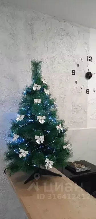 Студия Ленинградская область, Выборг ул. Сторожевой Башни, 9 (24.0 м) - Фото 2