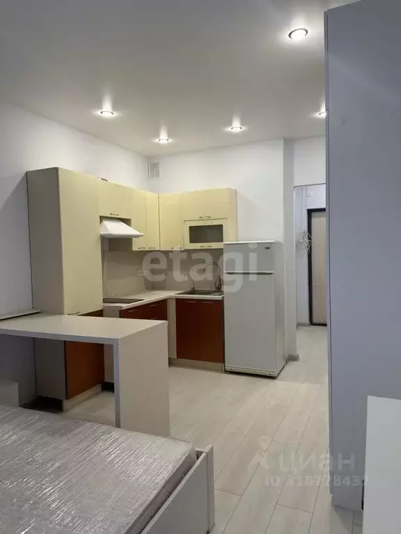 Студия Санкт-Петербург Планерная ул., 87к1 (22.3 м) - Фото 0