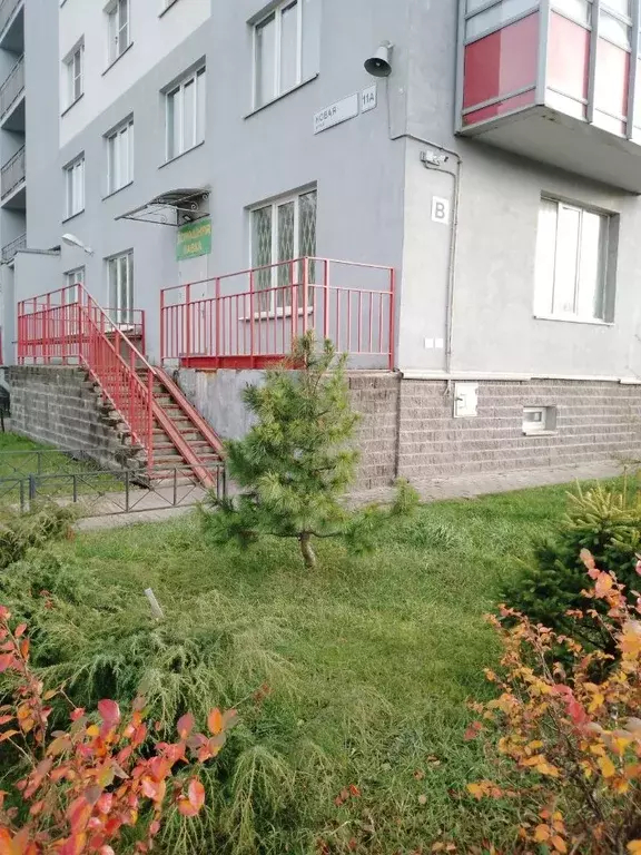 Помещение свободного назначения в Ленинградская область, Всеволожский ... - Фото 1