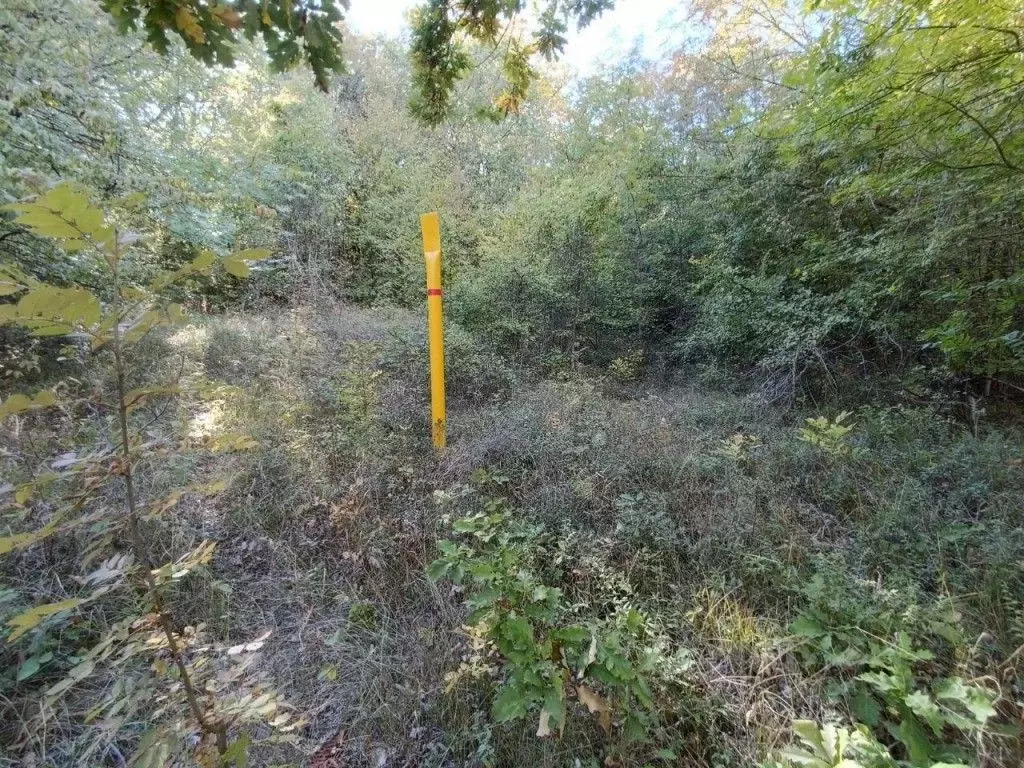 Участок в Крым, Алушта муниципальный округ, пос. Лаванда, Заречный мкр ... - Фото 2