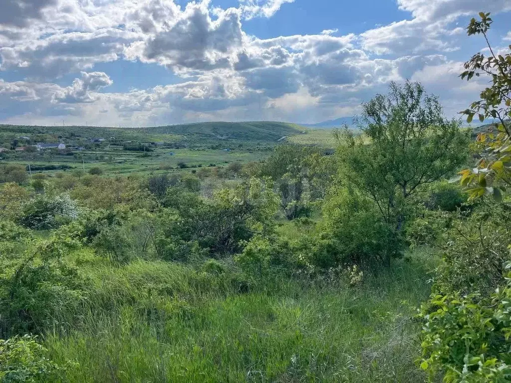 Участок в Крым, Феодосия муниципальный округ, с. Виноградное ул. ... - Фото 0