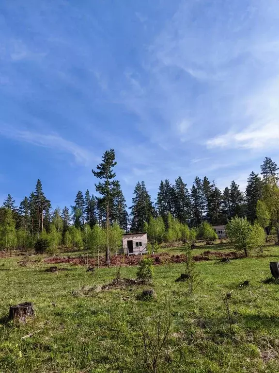 Участок в Алтай, Чемальский район, Узнезинское с/пос, с. Узнезя  ... - Фото 2