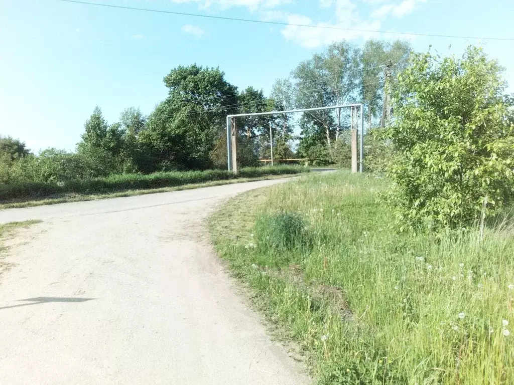 Участок в Псковская область, Псковский район, Логозовская волость, д. ... - Фото 1