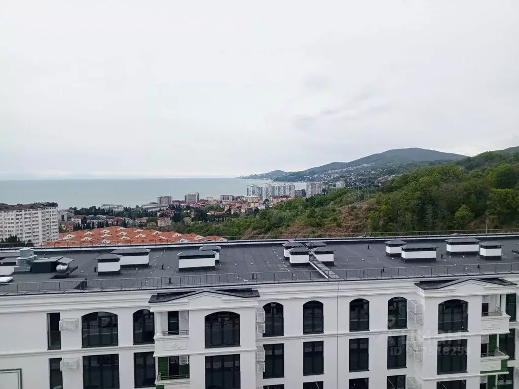 1-к кв. Краснодарский край, Сочи ул. Ленина, 290/7к10 (29.0 м) - Фото 1