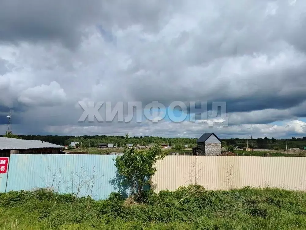 Участок в Новосибирская область, Мошковский район, с. Локти Школьная ... - Фото 1