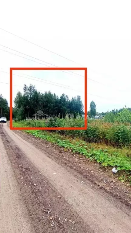 Участок в Архангельская область, Приморский муниципальный округ, Ильма ... - Фото 1