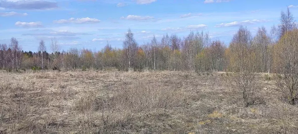 Участок в Московская область, Солнечногорск городской округ, д. Мостки ... - Фото 0