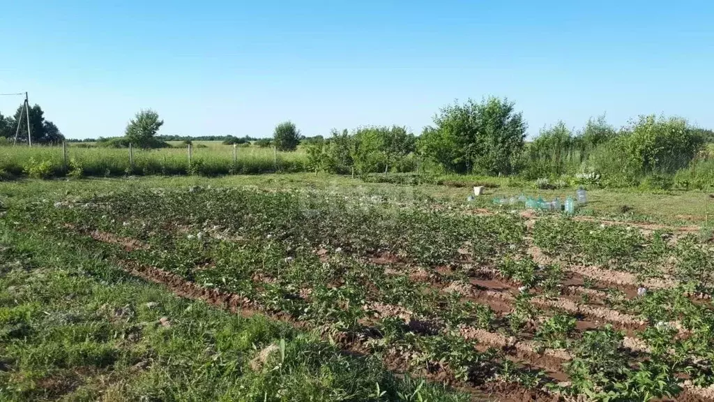 Участок в Калужская область, Бабынинский район, Утешево с/пос, с. ... - Фото 1