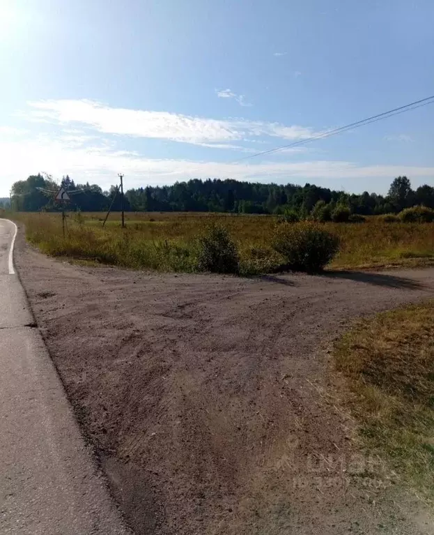 Участок в Ленинградская область, Выборгский район, Светогорское ... - Фото 2