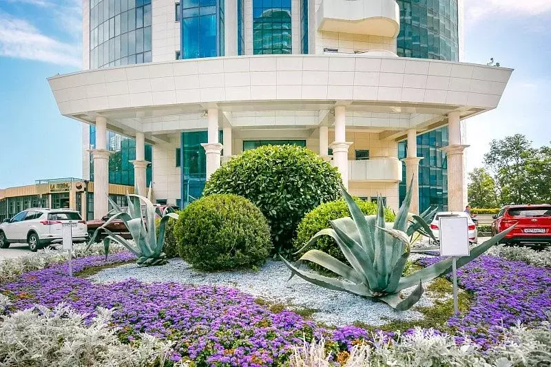3-к кв. Краснодарский край, Сочи Курортный просп., 105б (152.9 м) - Фото 0