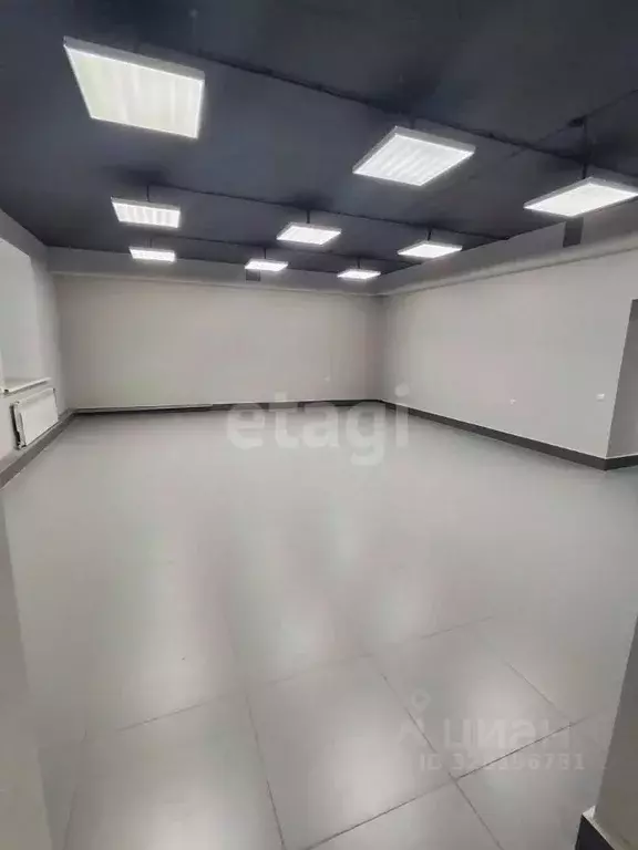 Помещение свободного назначения в Амурская область, Благовещенск ... - Фото 1