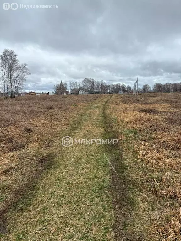 Участок в Новосибирский район, Верх-Тулинский сельсовет (8 м) - Фото 0