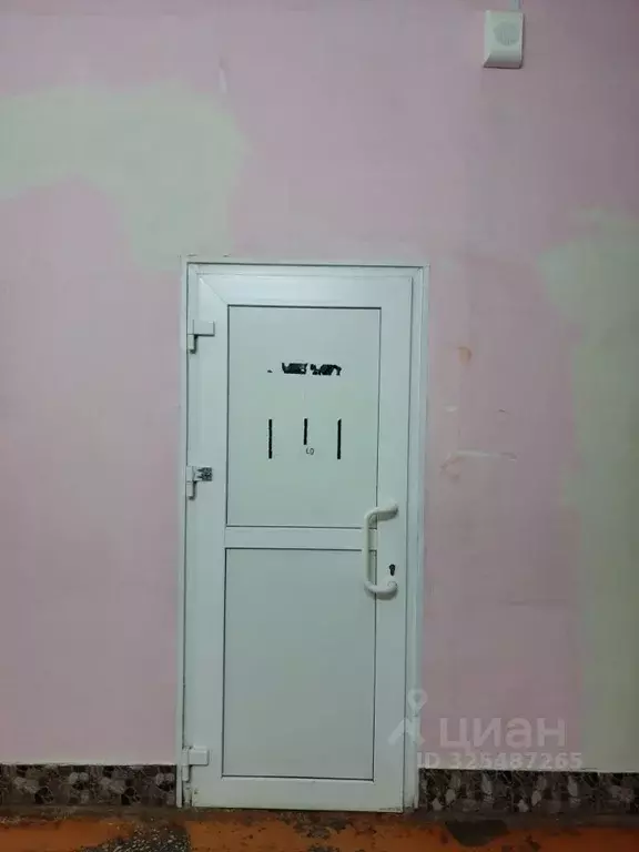 Помещение свободного назначения в Пермский край, Кунгур ул. Карла ... - Фото 1