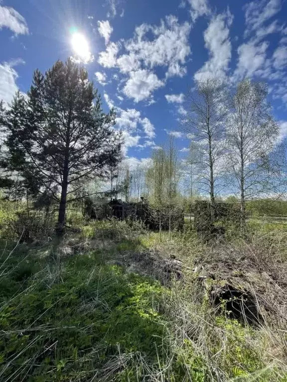 Участок в Архангельская область, Котлас Малодвинская ул., 1/1 (964.0 ... - Фото 1