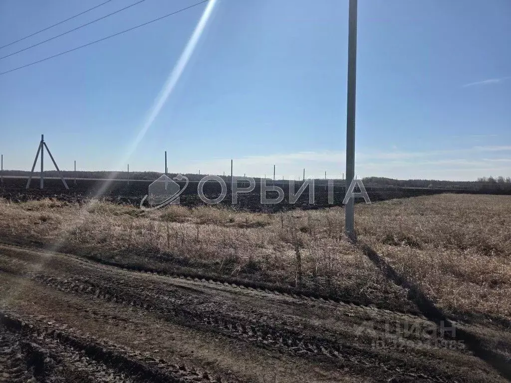 Участок в Тюменская область, Тюменский муниципальный округ, ... - Фото 1
