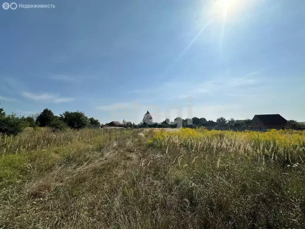 Участок в Брянский район, Мичуринское сельское поселение, село ... - Фото 0