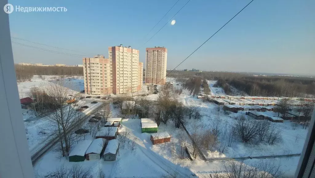 Суздалка Ярославль Купить