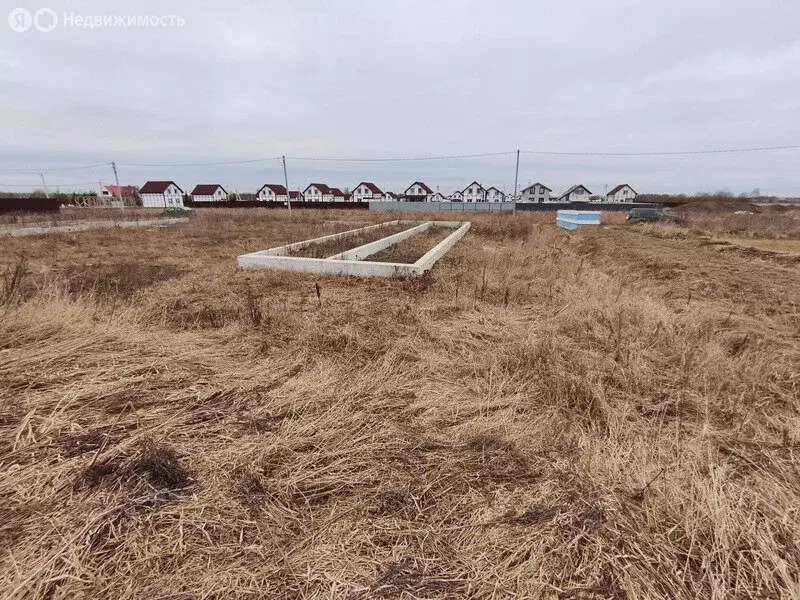 Участок в Тельмановское городское поселение, садоводческое ... - Фото 0