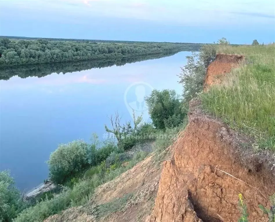 Участок в Рязанская область, Спасский район, Троицкое с/пос, с. Троица ... - Фото 1