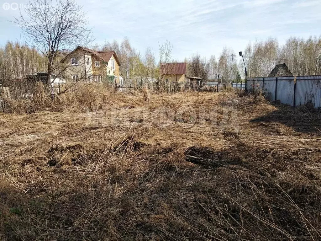 Участок в Новосибирск, Заельцовский район (4.15 м) - Фото 2