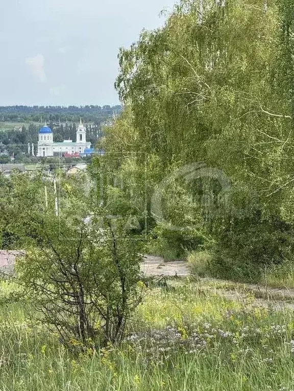 Участок 15 сот. (ИЖС) - Фото 1