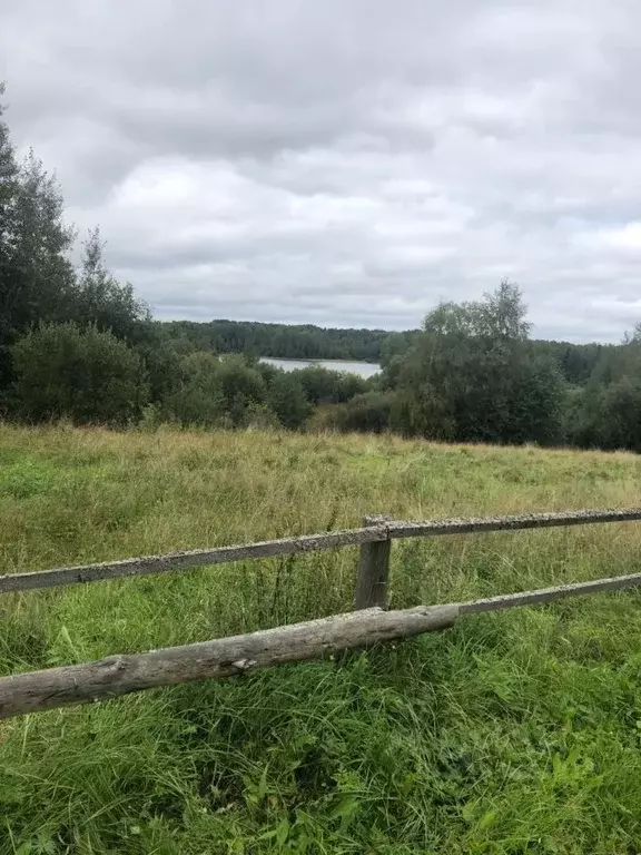 Участок в Ленинградская область, Лодейнопольский район, Янегское ... - Фото 2