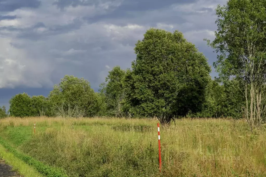 Участок в Ленинградская область, Всеволожский район, Куйвозовское ... - Фото 2
