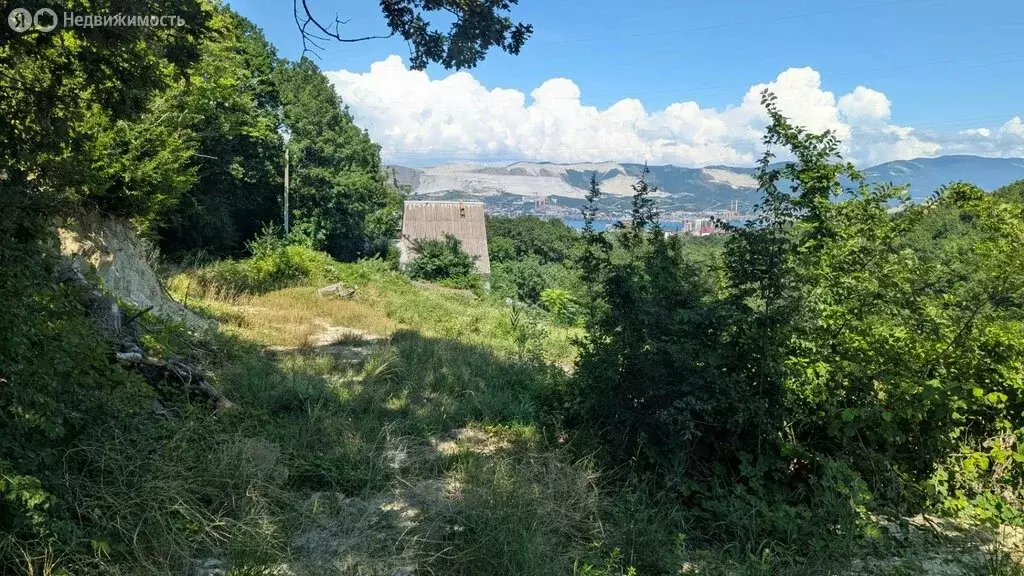 Участок в Новороссийск, Апрельская улица (5.4 м) - Фото 2