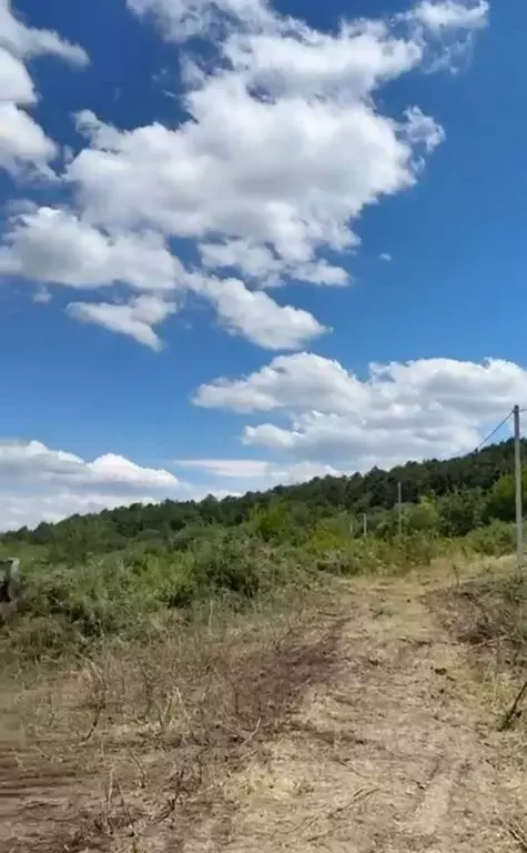 Участок в Крым, Симферопольский район, Трудовское с/пос, с. Дружное  ... - Фото 2