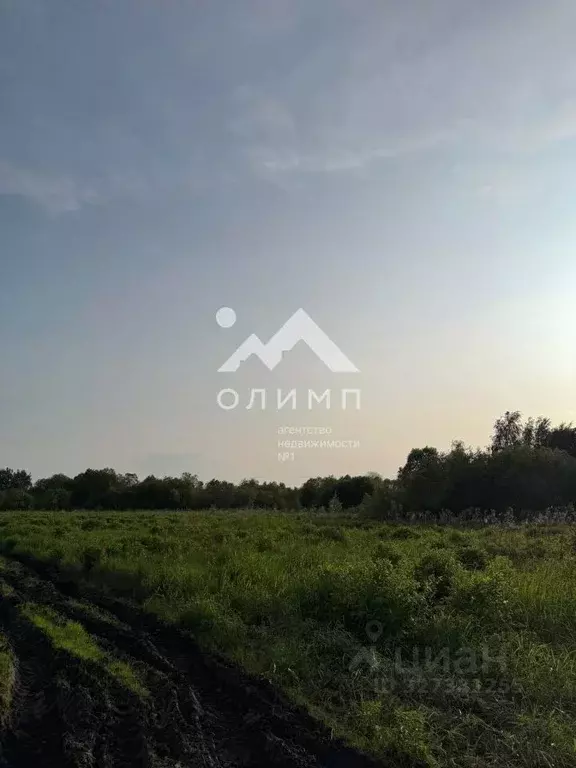 Участок в Вологодская область, д. Новое (Борисовский сельсовет)  (29.0 ... - Фото 1