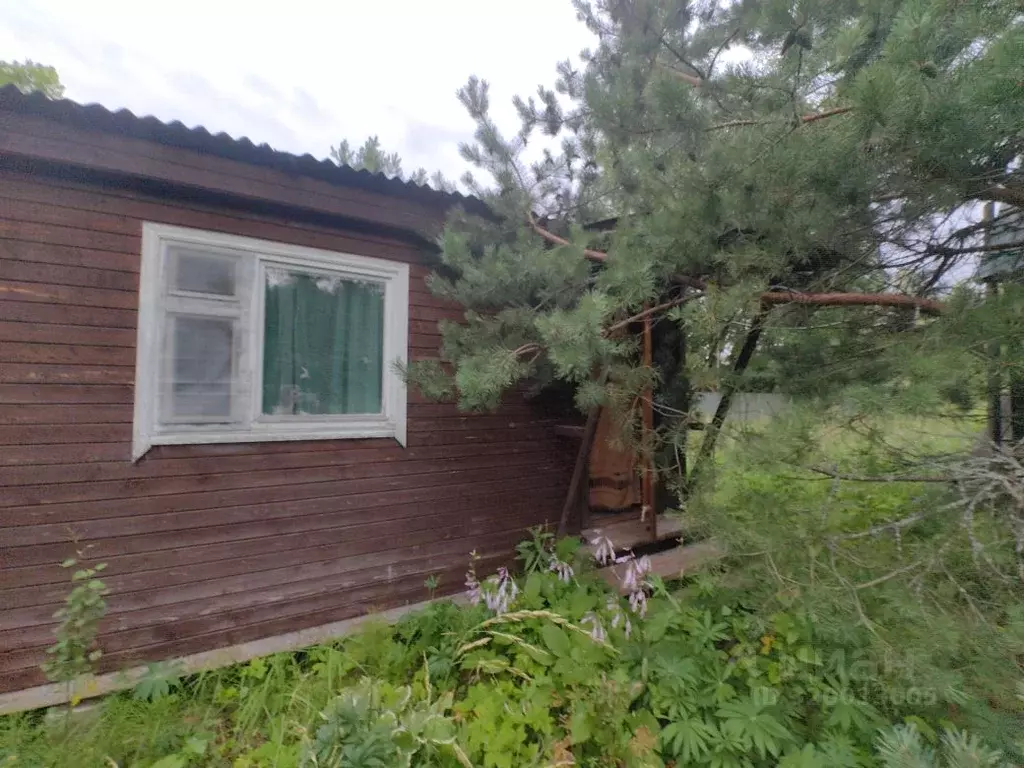 Дом в Владимирская область, Киржачский муниципальный округ, Родник СНТ ... - Фото 0