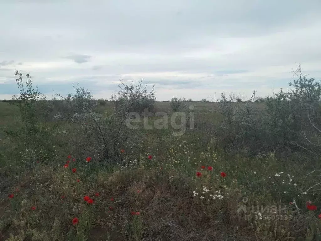 Участок в Крым, Ленинский район, Семисотское с/пос, с. Каменское ул. ... - Фото 1