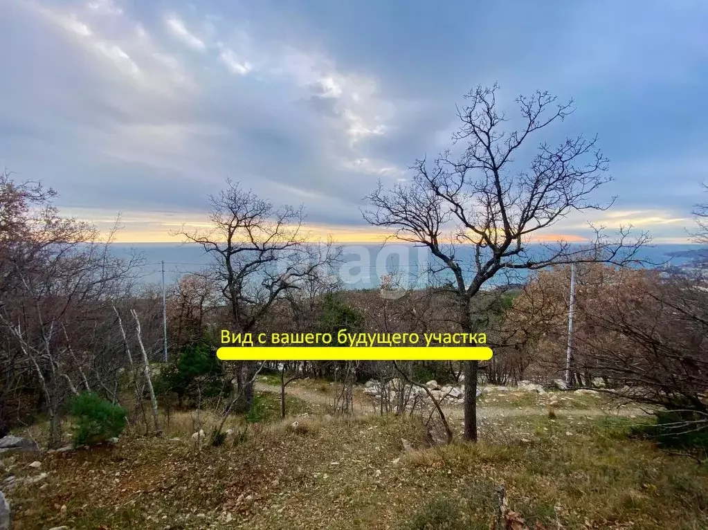 Участок в Крым, Ялта муниципальный округ, Гаспра пгт ш. ... - Фото 1