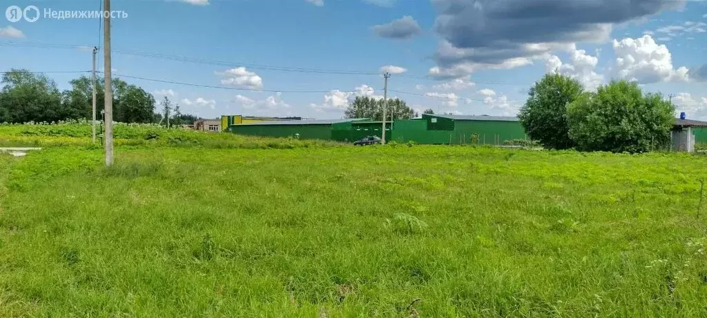 Участок в Ленинградская область, Волосовское городское поселение, ... - Фото 1