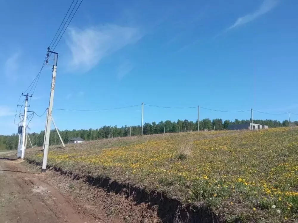 Участок в Иркутская область, Иркутский муниципальный округ, с. Мамоны  ... - Фото 0