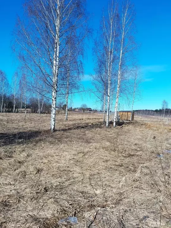 Участок в Владимирская область, Александровский район, Следневское ... - Фото 0