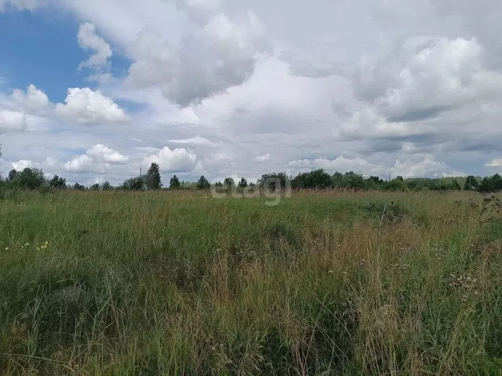 Участок в Свердловская область, Горноуральский городской округ, с. ... - Фото 0