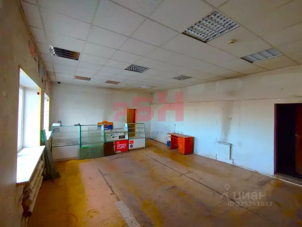 Торговая площадь в Курганская область, Курган просп. Конституции, 39А ... - Фото 1