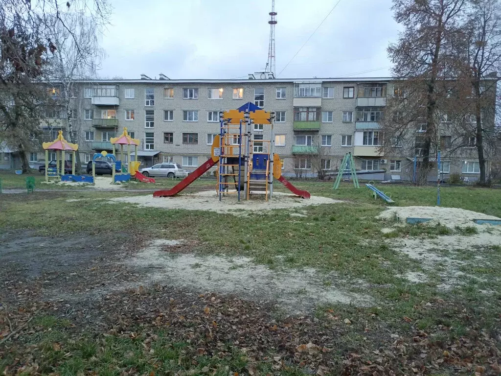 1-комнатная квартира: Тамбов, Мичуринская улица, 135 (34 м) - Фото 2