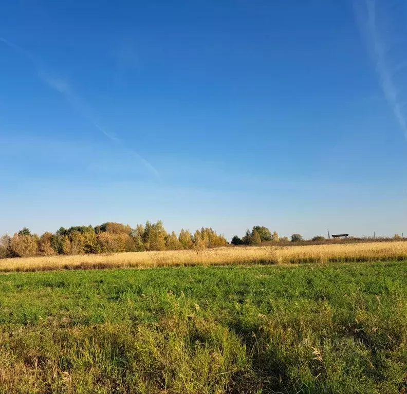 Участок в Московская область, Кашира городской округ, д. Никулино  ... - Фото 0