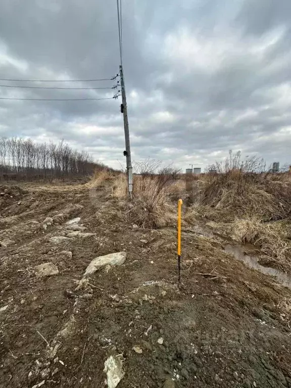 Участок в Сахалинская область, Анивский городской округ, с. ... - Фото 1