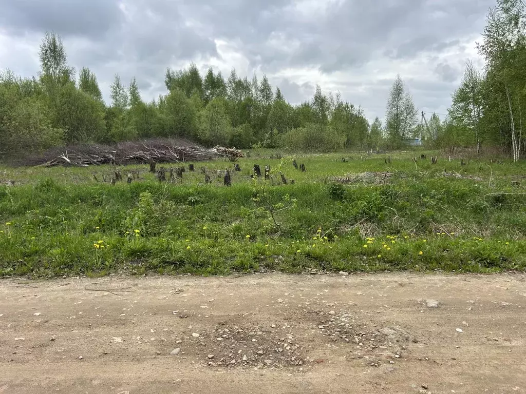 Участок в Владимирская область, Александровский район, Андреевское ... - Фото 0